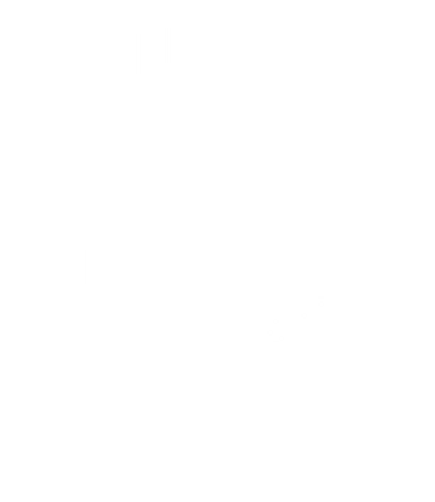 Shadow Shuriken Studios